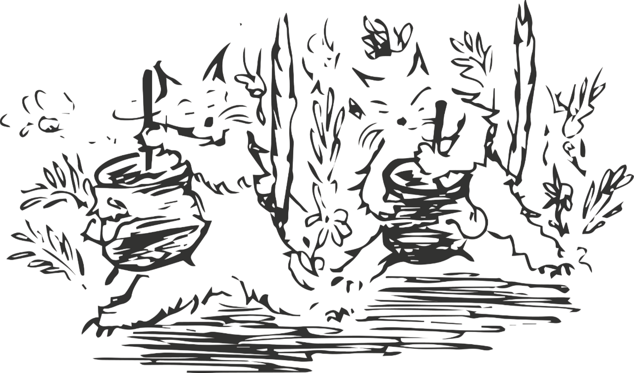 chats justine 2 marmite photoroom