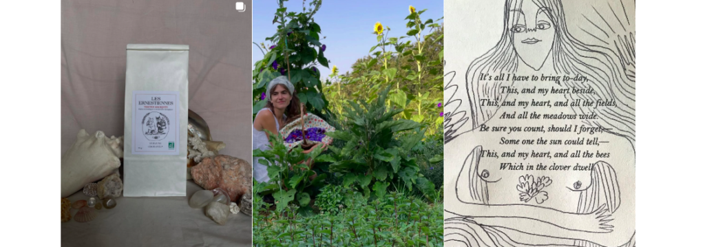 capture d’écran 2026 03 16 à 11.08.07