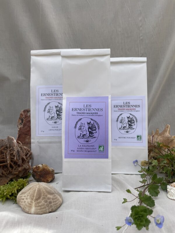 la routine féminité